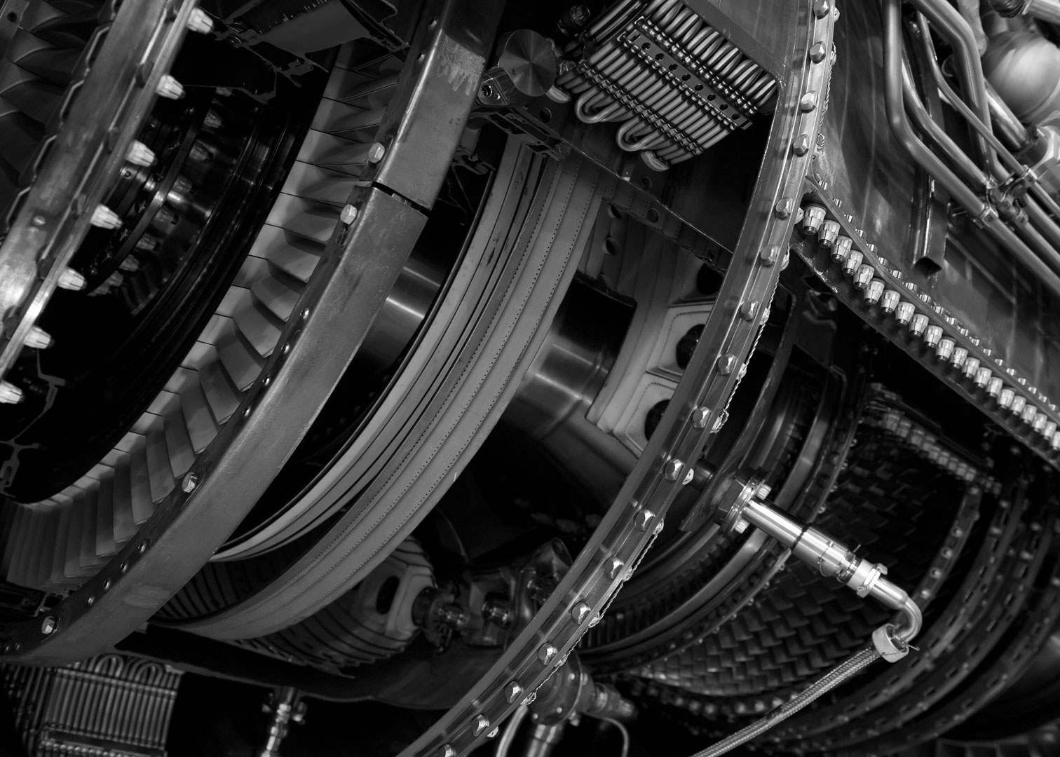 I Stock 617880930 bw 5x7